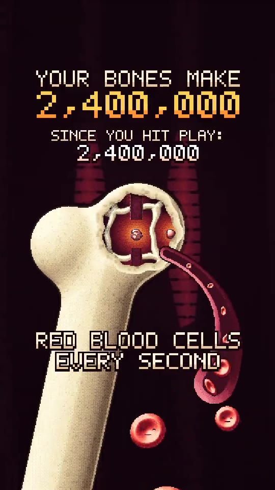 Pixel-art frame: a bone with its marrow open, releasing red blood cells